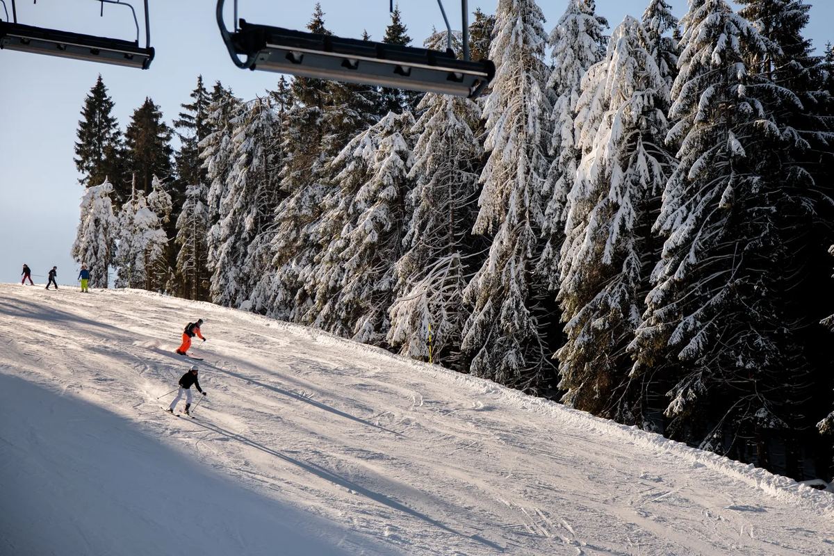 Skifahrer auf einer Piste zwischen verschneiten Tannen