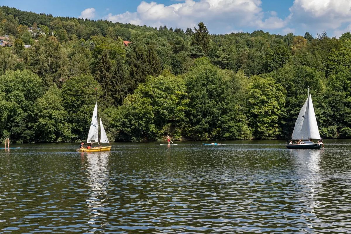 Segelboote auf einem See vor bewaldeten Hügeln