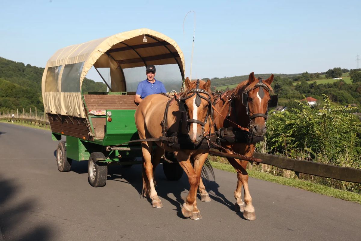 Pferde ziehen einen Planwagen auf einer Landstraße