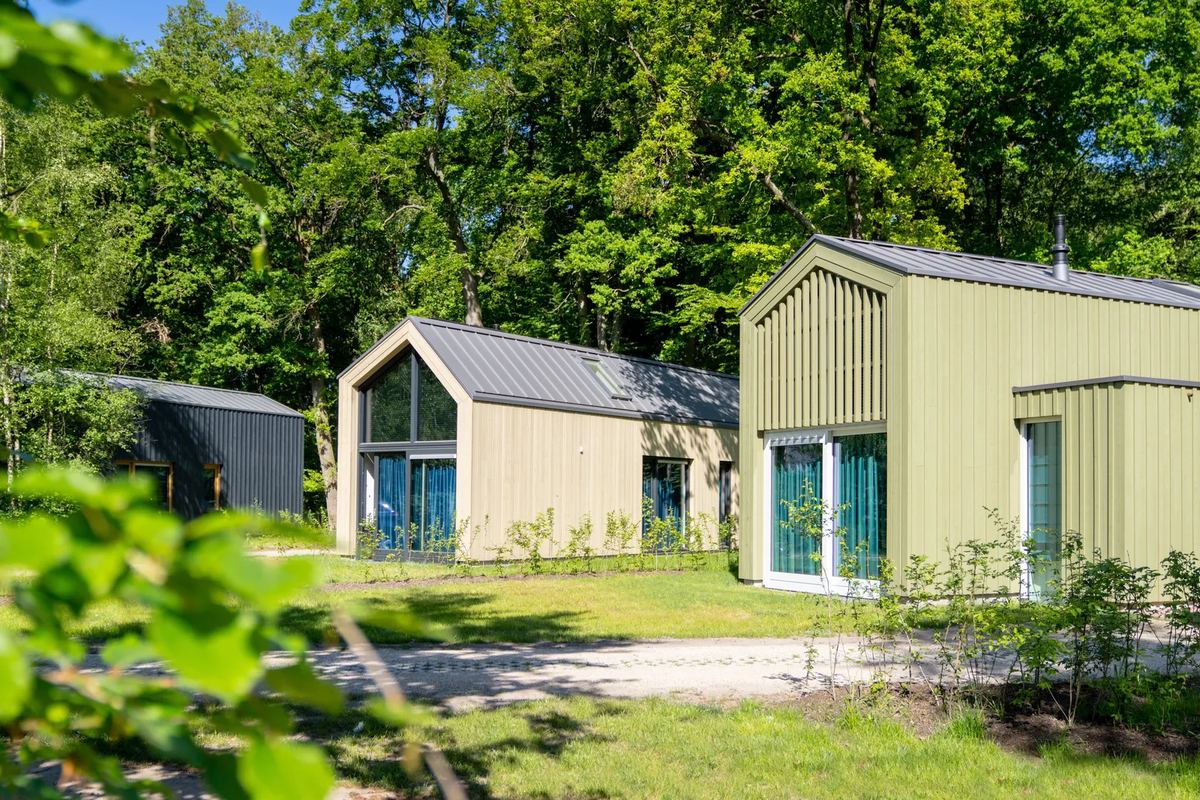 Moderne Ferienhäuser mit Satteldach im Grünen