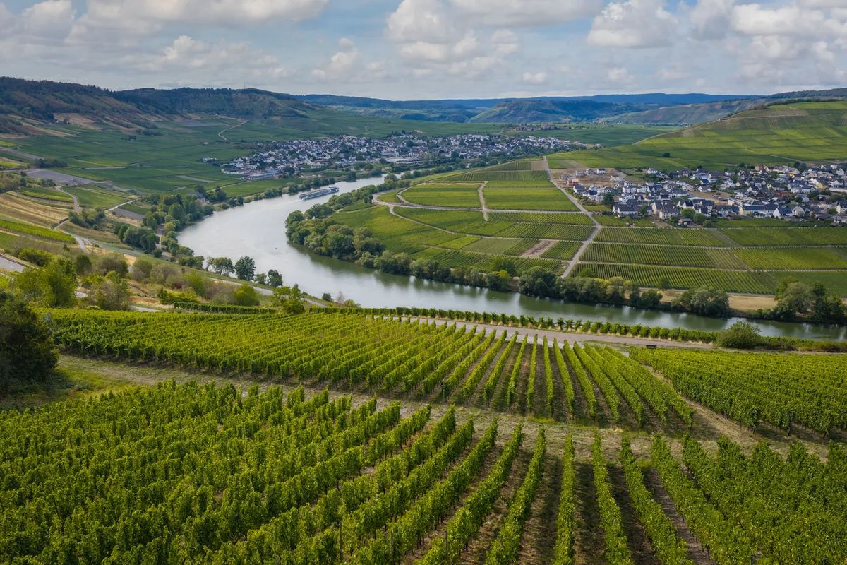 Moselschleife mit Weinbergen und Ort