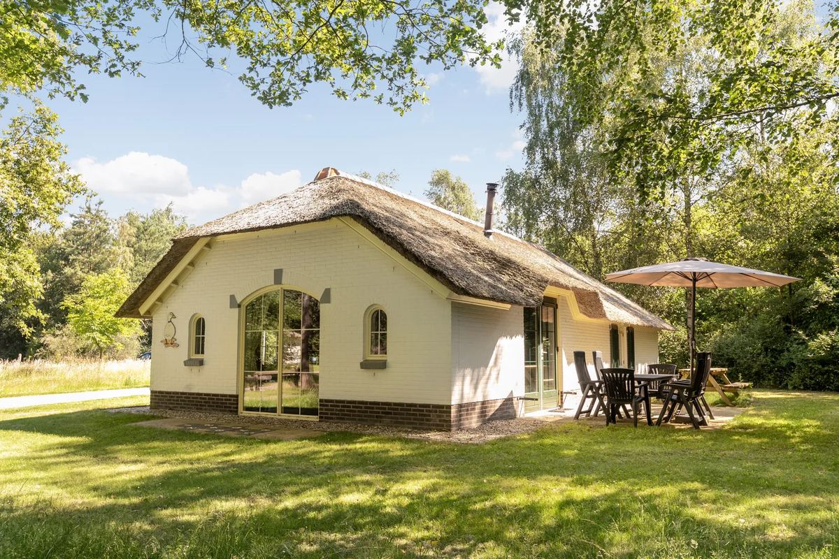 Ferienhaus mit Reetdach und Terrasse