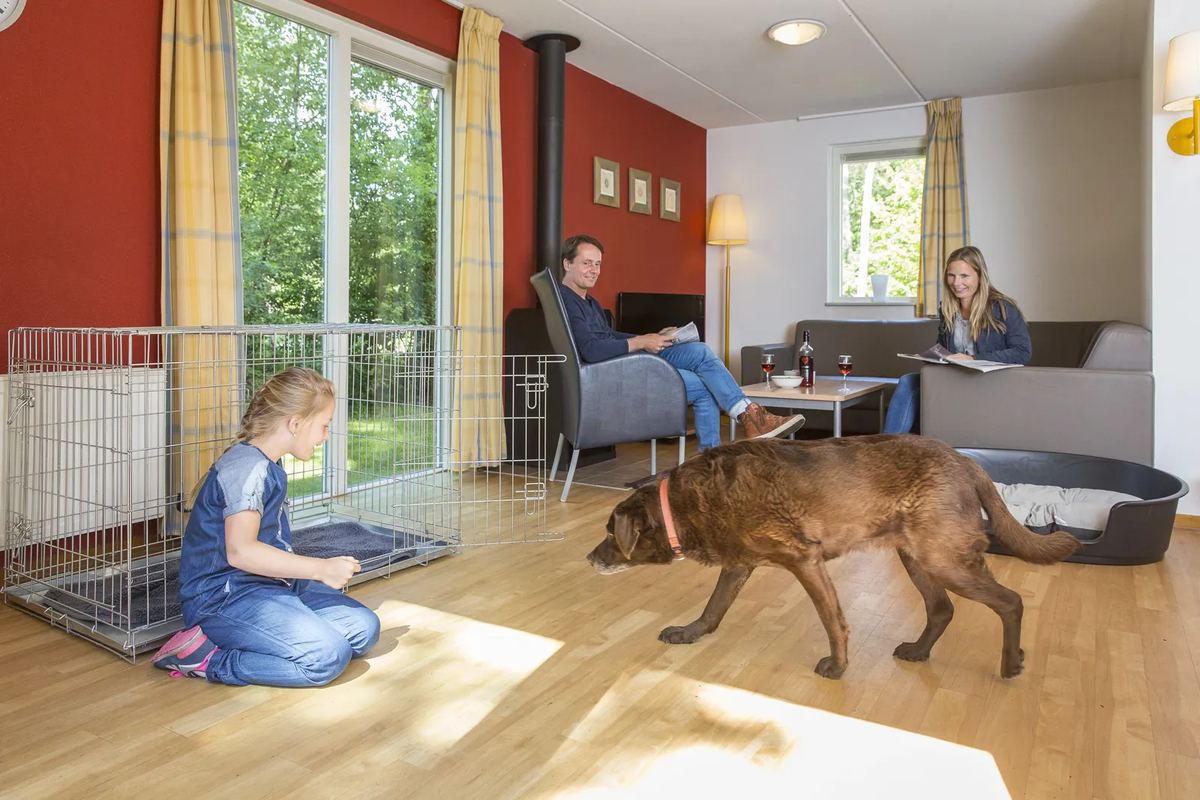 Hund und Hundebox im Wohnzimmer eines Ferienhauses