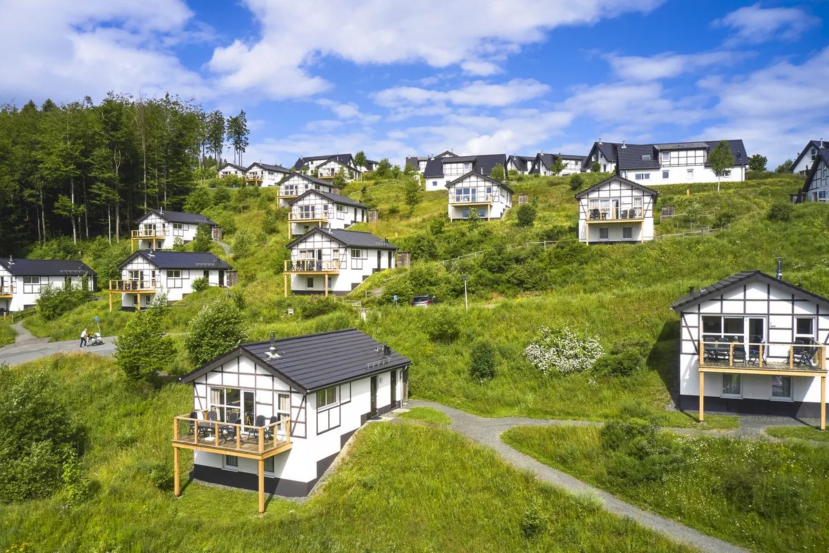 Luftbild: Ferienhäuser auf einem grünen Hang