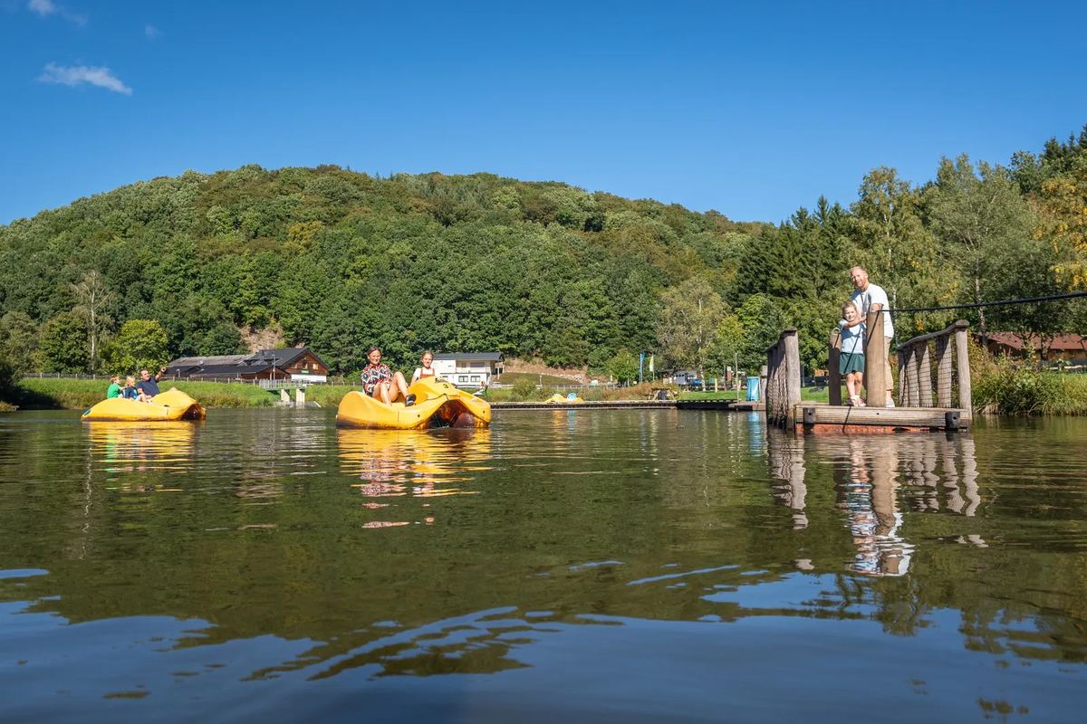 Tretboote auf dem Teich, Kinder am Steg